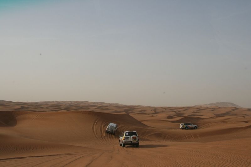 Beim Dune Bashing ging es mit Vollgas die Hügel rauf und runter. (Archiv: Vogel Business Media)