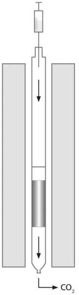 1 Prinzip der Direktinjektion  (Bild: Analytik Jena)