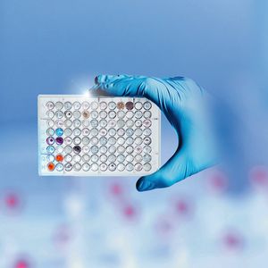 (Bild:  Dr. Fritz Faulhaber GmbH & Co. KG)