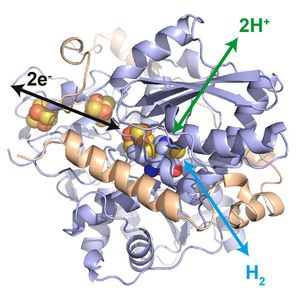 (Dr. James Birrell / MPI CEC)
