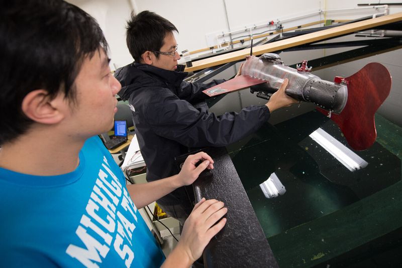 Die Doktoranten Feitian Zhang und Jianxun Wang bei der Arbeit an dem Roboter-Fisch (Michigan State University/G.L. Kohuth)