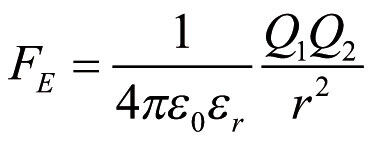  (Formel (1))