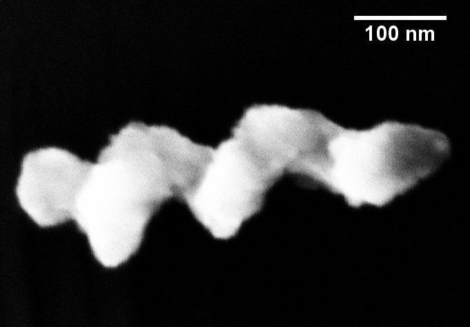 Nano-U-Boot mit Propellerantrieb: Solch eine winzige Schraube versehen die Stuttgarter Forscher mit Magneten und versetzen sie durch ein Magnetfeld in Drehung, sodass sie sich durch eine Flüssigkeit schraubt. (Bild: Debora Schamel/MPI für Intelligente Systeme)