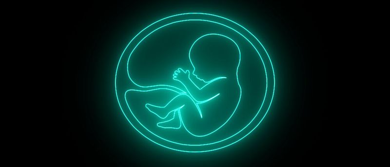 Obwohl Babys im Mutterleib geschützt heranwachsen sollten, sind sie bereits vor der Geburt diversen Umwelteinflüssen ausgesetzt. Wie Nanopartikel aus der Umwelt die Entwicklung des Kindes beeinträchtigen können, untersuchen Empa-Forschende in St. Gallen. (Bild:  MDSHAFIQUL - stock.adobe.com)