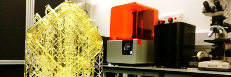 Eine in Dental SG Resin 3D-gedruckte Bioreaktorkammer.