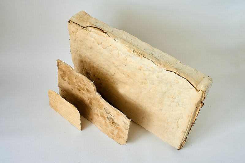 Flexible Myzelmaterialien in unterschiedlicher Dicke können als Polstermaterial, Dämmplatte oder Lederalternative verwendet werden. (Bild: Fraunhofer IAP, Jadwiga Galties)