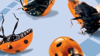 2018_01_09_12_47_00_Flyer_PFEIFER_Wendetische_2016_09_de_ansicht_pdf__GESCH_TZT____Adobe_Acrobat_Rea ()