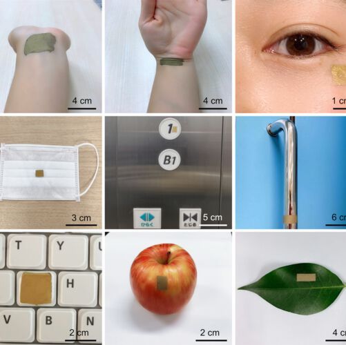 Stretchy sensor. Although very thin, the gold nanomesh sensor is very durable and can be stretched and deformed without breaking. Therefore, it can be adhered to many different kinds of surfaces — not just human skin — for different sensing purposes. Stretchy sensor. Although very thin, the gold nanomesh sensor is very durable and can be stretched and deformed without breaking. Therefore, it can be adhered to many different kinds of surfaces — not just human skin — for different sensing purposes.