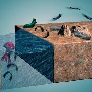 (MPI für Intelligente Systeme)