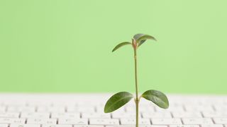 green-information-technology-environmentally-sustainable-it-copy-space-green-plant-growing-white-keyboard-on-green-background-stockpack-adobe-stock-scaled (Quelle: liliya-Adobe Stock)