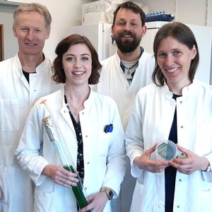 Gemeinsam mit Dr. Jens Appel, Vanessa Hüren und Dr. Marko Böhm (von links nach rechts) erforscht Dr. Kirstin Gutekunst, wie sich Cyanobakterien zur Produktion solaren Wasserstoffs einsetzen lassen.