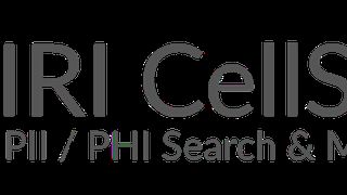 IRI_CellShield_f_r_PII_Suche_und_Schutz_in_Excel ()