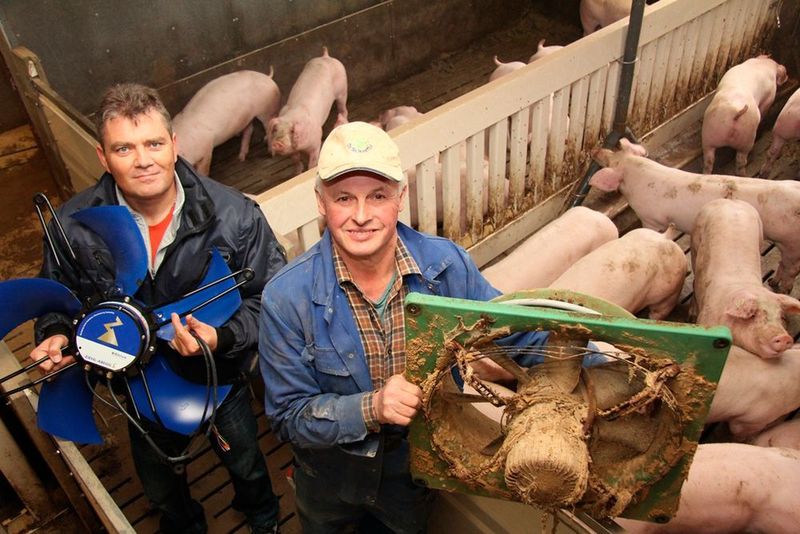 Elektromeister Bernd Häffner (links) installiert bei Landwirt Paul Neff einen neuen Landwirtschaftsventilator FFowlet mit sparsamem EC-blue-Motor. (Bild: Ziehl-Abegg)