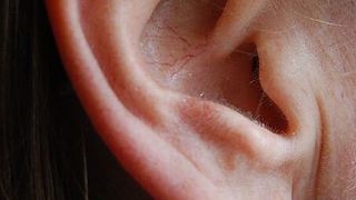 Roboter bekomen Ohren, die so gut sein sollen wie die des Menschen. (Bild: commons.wikimedia.org)