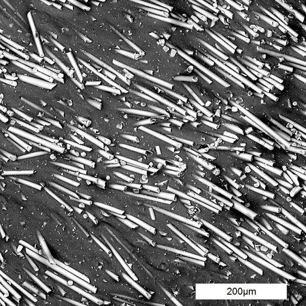Granulés de polyamide vieillis à 380 °C, c'est-à-dire au-delà du point de fusion (vers 315-320°C), les fibres de verre (bâtonnets blancs) ontt perdu leur alignement. (Image : HEIA-FR/ChemTech)