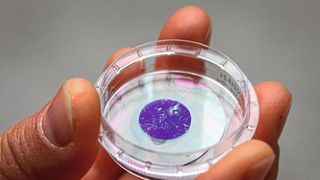 Eine vollkommen neue Art von Implantat: Hauchdünne und lichtsensitive Pigmentfolien, beispielsweise zur Stimulation von Nervenzellen.  (Bild: Lunghammer - TU Graz)