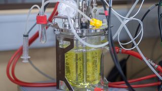 Präbiotische Galactooligosaccharide, kurz GOS genannt, werden im Nebenprodukt Molke hergestellt. (Bild: Sascha Perten)