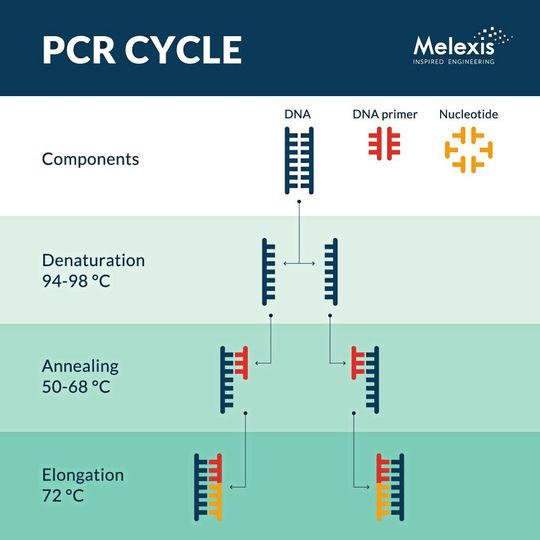 PCR vervielfältigt schnell die DNA von Viren und Bakterien, um medizinische Diagnosen zu erleichtern.(Bild:  Melexis)