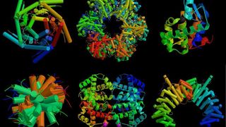 Jüngste Ergebnisse aus der Proteinforschung belegen, dass Proteine ohne Wasserzusatz in flüssige Form gebracht werden können und dabei ihre biologische Funktion beibehalten.  (Bild: Ruhr-Uni-Bochum, Biochemie)