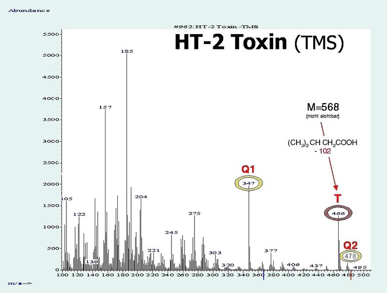 Abb. 4a EI-Massenspektrum der TMS-Derivate von HT-2-Toxin. (Archiv: Vogel Business Media)