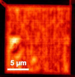2 (d) AFM-Aufnahme eines Lipid-Gitters mit fusionierten Linien; die Profilhöhe liegt zwischen 100 und 150 nm. (Bild: Lenhert/Brinkmann; aus „Lipid Multilayer Gratings“ (Nature Nanotechnology) [1]) (Bild: Lenhert/Brinkmann; aus „Lipid Multilayer Gratings“ Nature Nanotechnology)