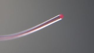 Das besondere der mit Glycerin gefüllten Polymerhohlfaser ist, dass sie eine Dehnung von 10 Prozent verträgt und damit viel stabiler ist, als die bekannte Glasfaser. Die Schweizer Experten merken an, dass sie nicht allein bei der Datenübertragung ihren Trümpfe ausspielen wird, denn sie erkennt auch, wie weit sie gedehnt wird. (Bild: Empa)