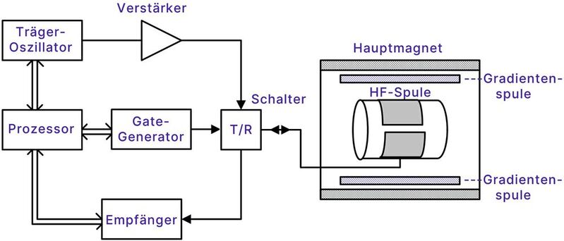 Bild 3:  Blockschaltbild eines NMR-Spektrometers, bei dem ein HF-Impuls eine Probe in der Spule anregt, ein HF-Signal auszusenden, das Rückschlüsse auf Element und Molekülstruktur zulässt.