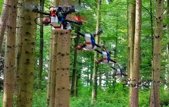 Diese Drohne fliegt mit 40 Kilometern pro Stunde autonom durch einen Wald (ihr Weg ist hier künstlich widergegeben). Forschende an der Universität Zürich (UZH) haben ihr KI-Funktionen gegeben, die sie auch durch unwirtlichste Gegenden sicher lavieren.(Bild:  UZH)