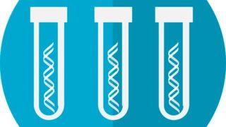 Their approach not only improves the accuracy of heart disease risk prediction but also offers a comprehensive framework for genetic testing that, according to the scientists, could be applied to anything, including other complex, genetically influenced diseases like cancer, Parkinson’s disease and autism. (Source: Pixabay)