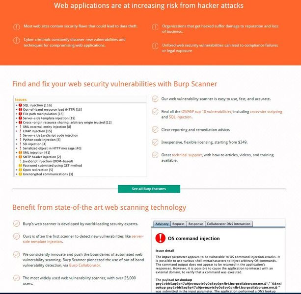 Die Features des freien Burp-Scanners auf der Burp-Webseite. (Dombach)