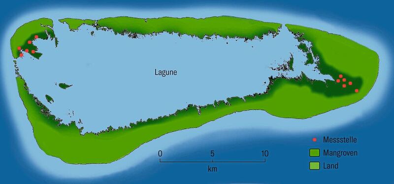 Die Mangroven befinden sich in den flachen Gewässern der Lagune im Innern des Atolls. In den zwei grössten Gebieten wird der Pegelstand gemessen. (Bild: URPP/UZH)