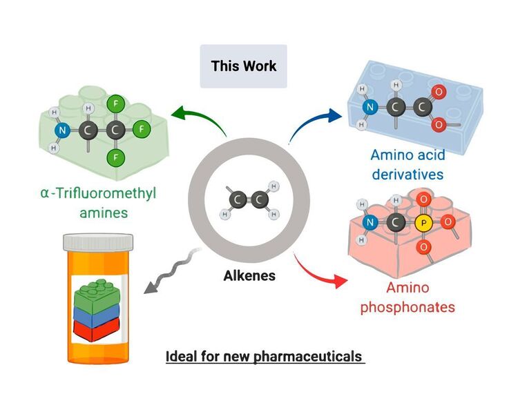 Mit dem von den Forscher*innen entwickelten Prozess können neben den Aminen auch  beispielsweise Trifluormethylgruppen – ebenso im pharmazeutischen Kontext begehrte Strukturelemente – eingebaut werden. (Universität Wien/ Maulide Group)