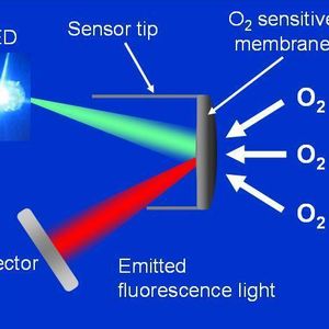 Optische Sensoren arbeiten nach dem Prinzip der Fluoresenzlichtlöschung. 