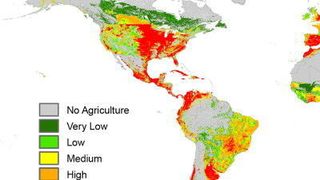 Globale Risikokarte durch den Eintrag von Insektiziden in Fließgewässern (Ausschnitt). (Quelle: Environmental Pollution/ Elsevier)