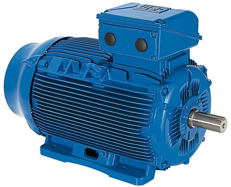 WEG Motoren der Serie W22: Im Projekt gefragt wegen der hohen Energieeffizienz, dem Gussgehäuse und ihrer Eignung für Umrichterbetrieb. (WEG)
