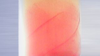 Monowave300_CameraOption.jpg ()