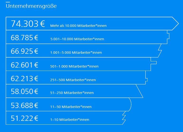 Die Unternehmensgröße hat einen großen Einfluss auf das Gehalt bei Ingenieuren.  (Stepstone, Grafik: Creneo)