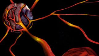 Über Blutbahnen könnten Mikroroboter gezielt Medikamente zu Krebszellen im Körperinneren transportieren. (Bild: Max-Planck-Institut für Intelligente Systeme)