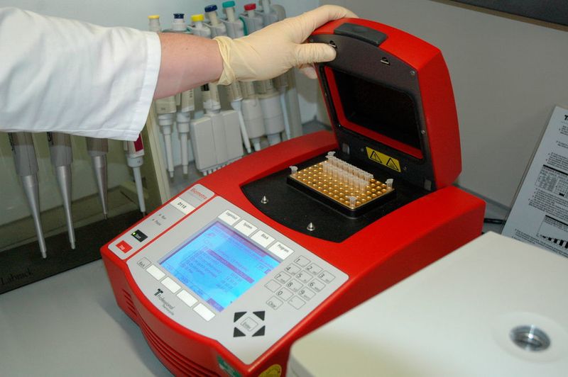 Abb. 9: „Wir sind ein typisch molekularbiologisch arbeitendes Labor, angefangen von der DNA- und RNA-Isolation über PCR, qPCR und allen gängigen Klonierungstechniken bis hin zur Proteinaufreinigung, decken wir alle üblichen Techniken ab“, sagt Dr. Thorben Sprink. (Ottleben / LABORPRAXIS)