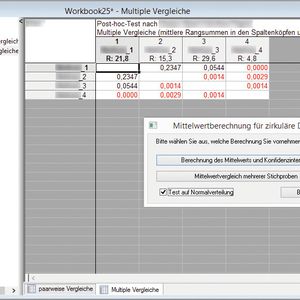 Abb.3: Beispiel einer Ergebnisausgabe in der Statistica-Software