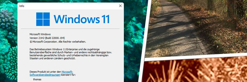 Auf Windows 11 kann ganz einfach über die Update-Funktion von Wondows 10 aktualisiert werden.