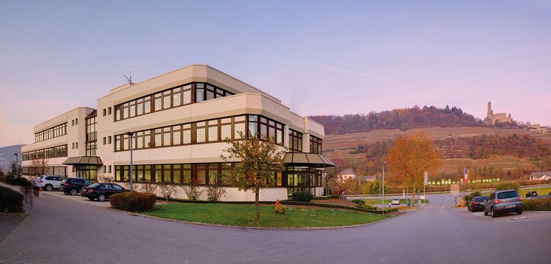 Eines der zwei Werke von Fibo liegt in Hassmersheim direkt am Neckar am Fuße der Burg Hornberg. (Bild: Fibro)