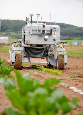 Agrarrobotik bei Bosch – neuer Helfer in der Pflanzenzucht: Die Zentrale Forschung und Vorausentwicklung von Bosch arbeitet unter  anderem an dem neuen Agrarroboter Bonirob. Seine Sensoren erkennen verschiedene Pflanzen und machen unter anderem eine automatisierte Unkrautbekämpfung möglich. Hier fährt die Roboter-Plattform über einen Acker in Renningen bei Stuttgart. (Bild: Bosch)
