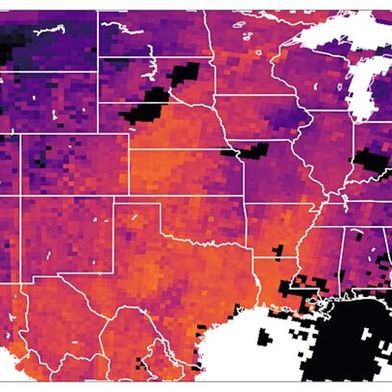 Dichte von Fluginsekten an einem typischen Sommertag (25. August 2021). Die Farben zeigen die Anzahl Insekten pro Quadratmeter vertikalen Luftraum an, hellere Farben zeigen höhere Dichten. Regen ist schwarz dargestellt. (Bild: The Author(s), Global Change Biology published by John Wiley & Sons Ltd)