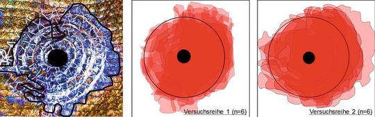 Bild 3: Das sind die Beschichtungsergebnisse an Lochverstärkungen an einem TFP-Preform von zwei Versuchsreihen.(Bild:  ITA)