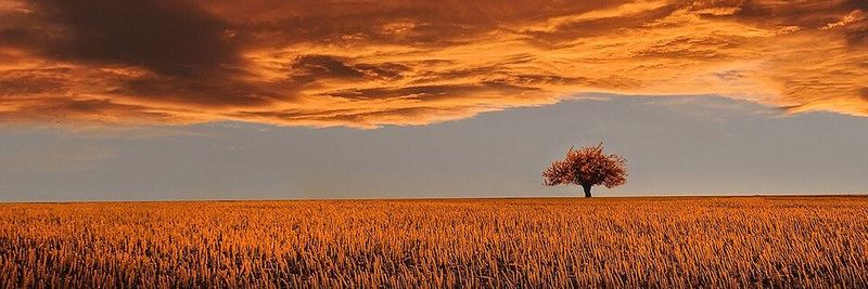 Extreme Networks hat sich nun mit der eigenen Technik vollständig in die Cloud transferiert. (Bild:  gemeinfrei© bessi /  Pixabay)