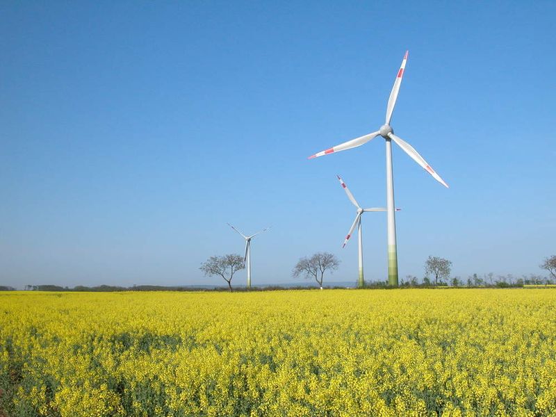 Energie aus Wind: Zurzeit wandeln über 18.000 Anlagen mit insgesamt mehr als 20.000 Megawatt installierter Leistung Wind in nutzbaren Strom um. (Archiv: Vogel Business Media)