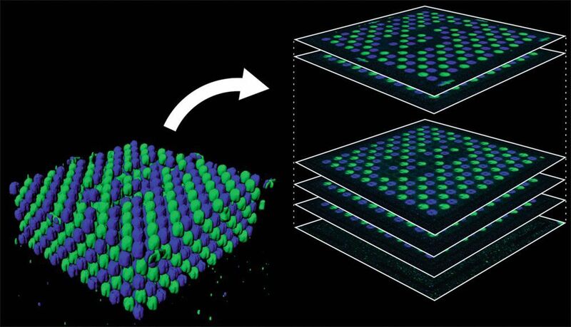 In der 3D-gedruckten Mikrostruktur können in mehreren Lagen unterschiedliche Informationen gespeichert werden. (Frederik Mayer/KIT)