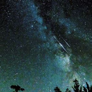 (gemeinfrei, Outaki)