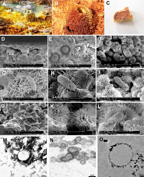 (A) the sampling site, (B) the small chimneys (temperature of water 90 ºC. (C) D9 sample from a small chimney in (A). (D-L) Scanning Electron Microscope and (M-O) Scanning Transmission Electron Microscope images of sample D9 showing the morphologies of ultra-small microorganisms entombed in the mineral layers. (Gomez et al/Europlanet)